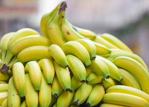 First certified organic bananas appear in Russia